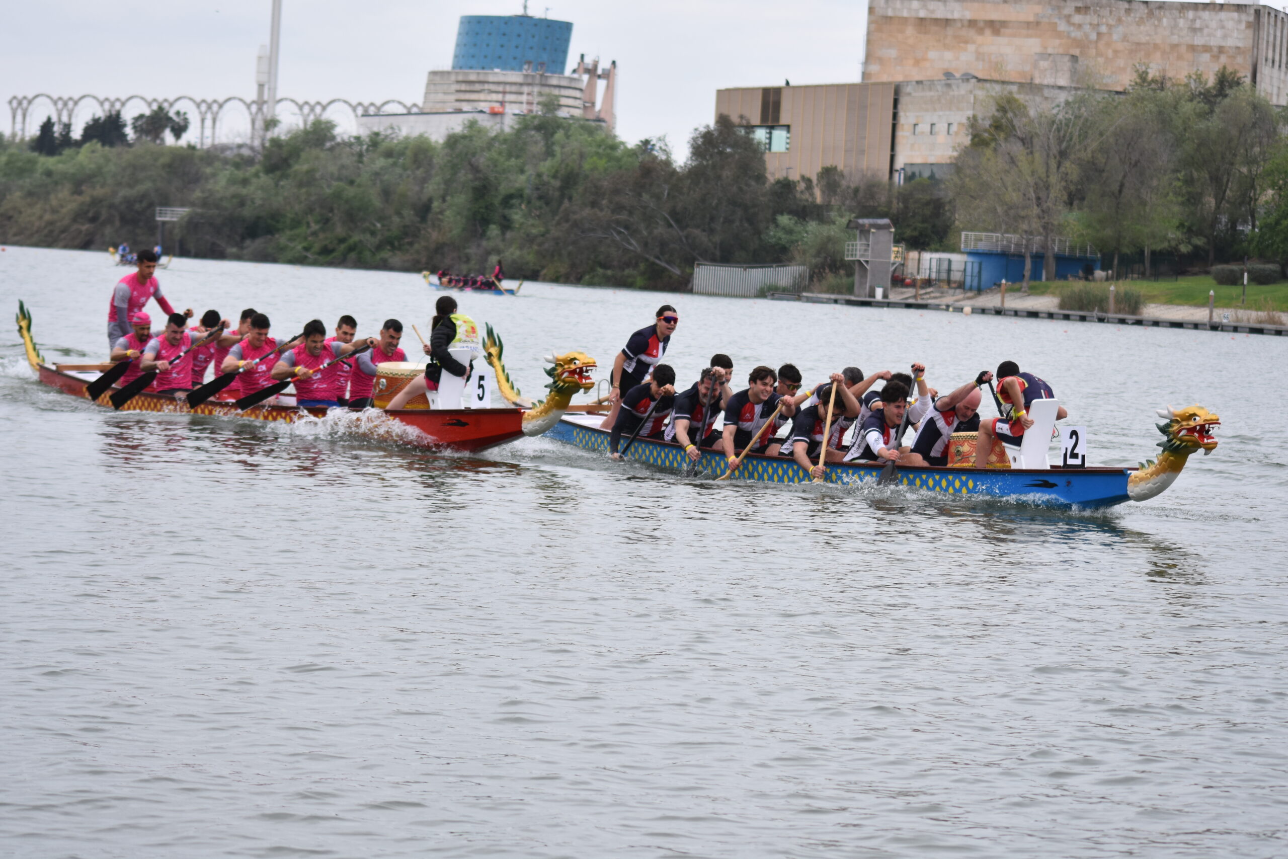 El Barco Dragón se reúne en Trasona para el Campeonato de España de 500 y el Selectivo nacional